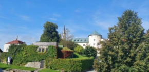 Dreiburgen Ferienwohnung Schlossblick